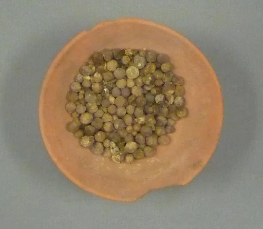 Bowl of Jujube Berries