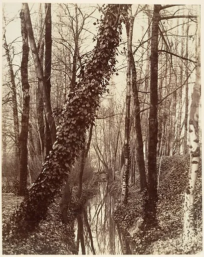 La Bièvre, Boulevard d'Italie 13ème disparue en 1891; aujourd'hui rue Edmond Gondinet