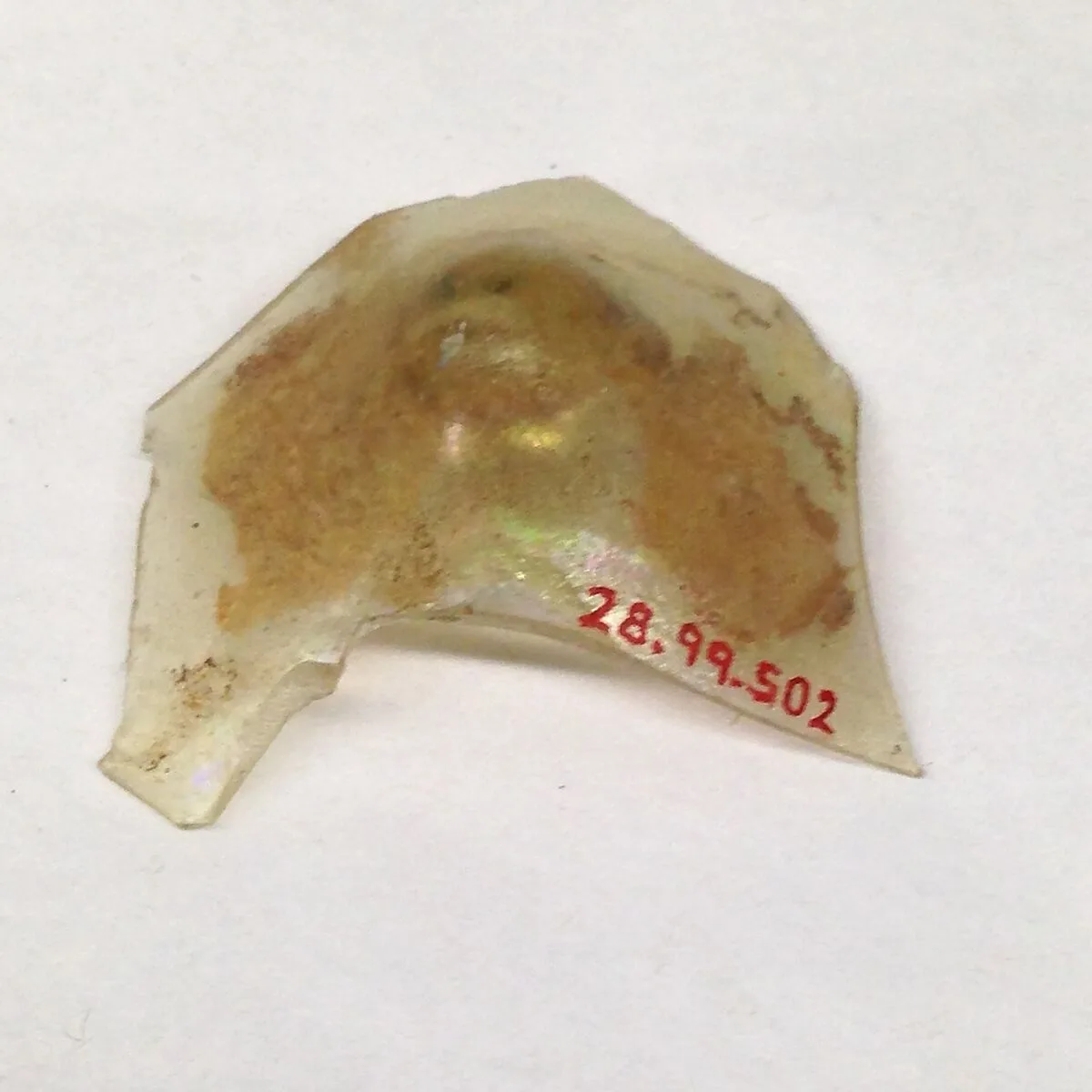 Fragment — Unknown