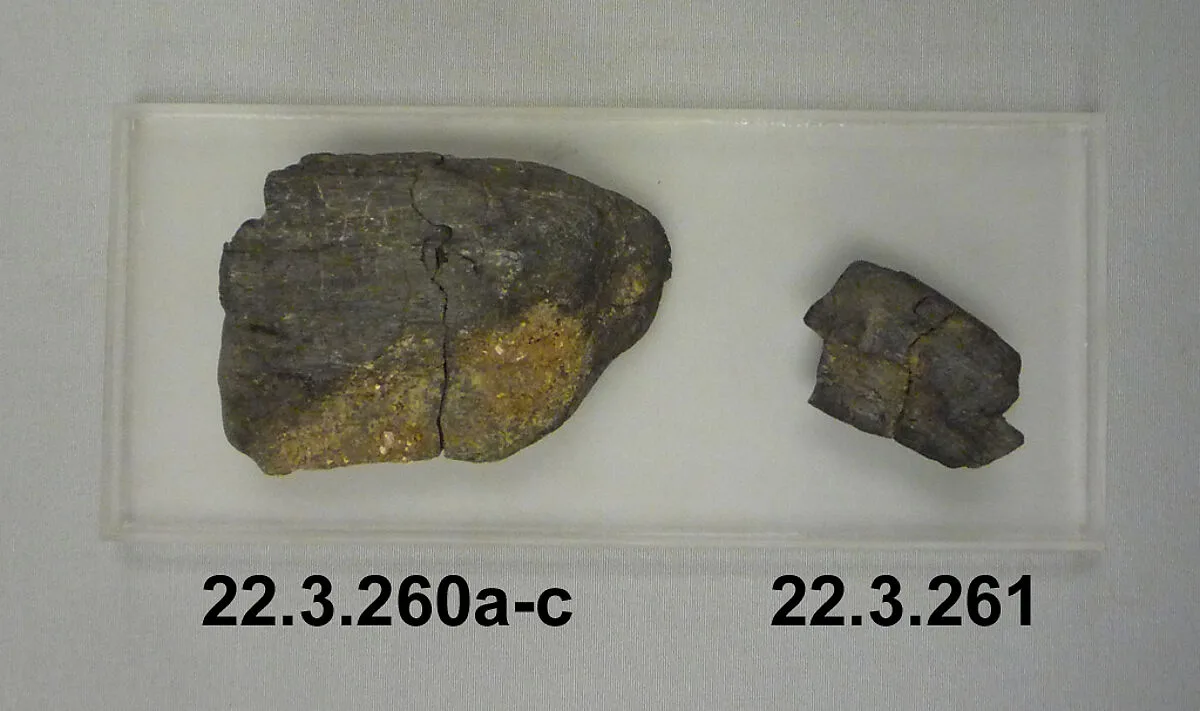 Three fragments of Charcoal — Unknown