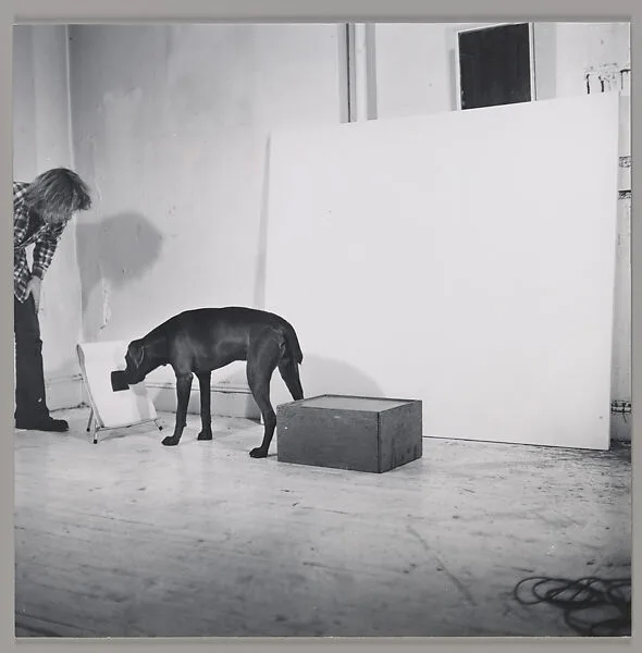 Before/On/After: Permutations I — William Wegman