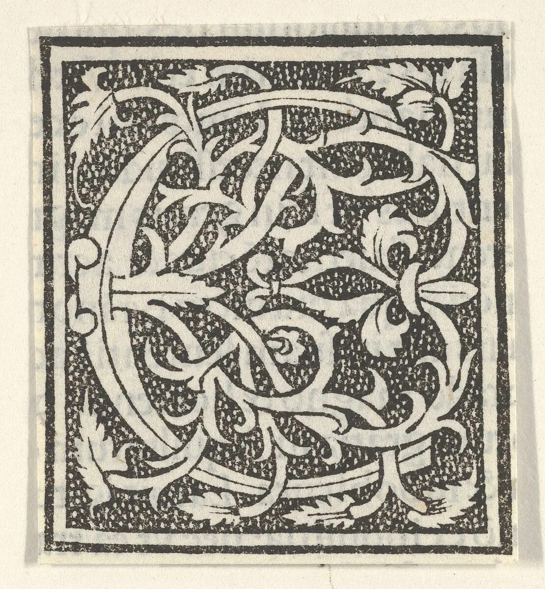 Initial letter C on patterned background — Anonymous, Italian, 16th century