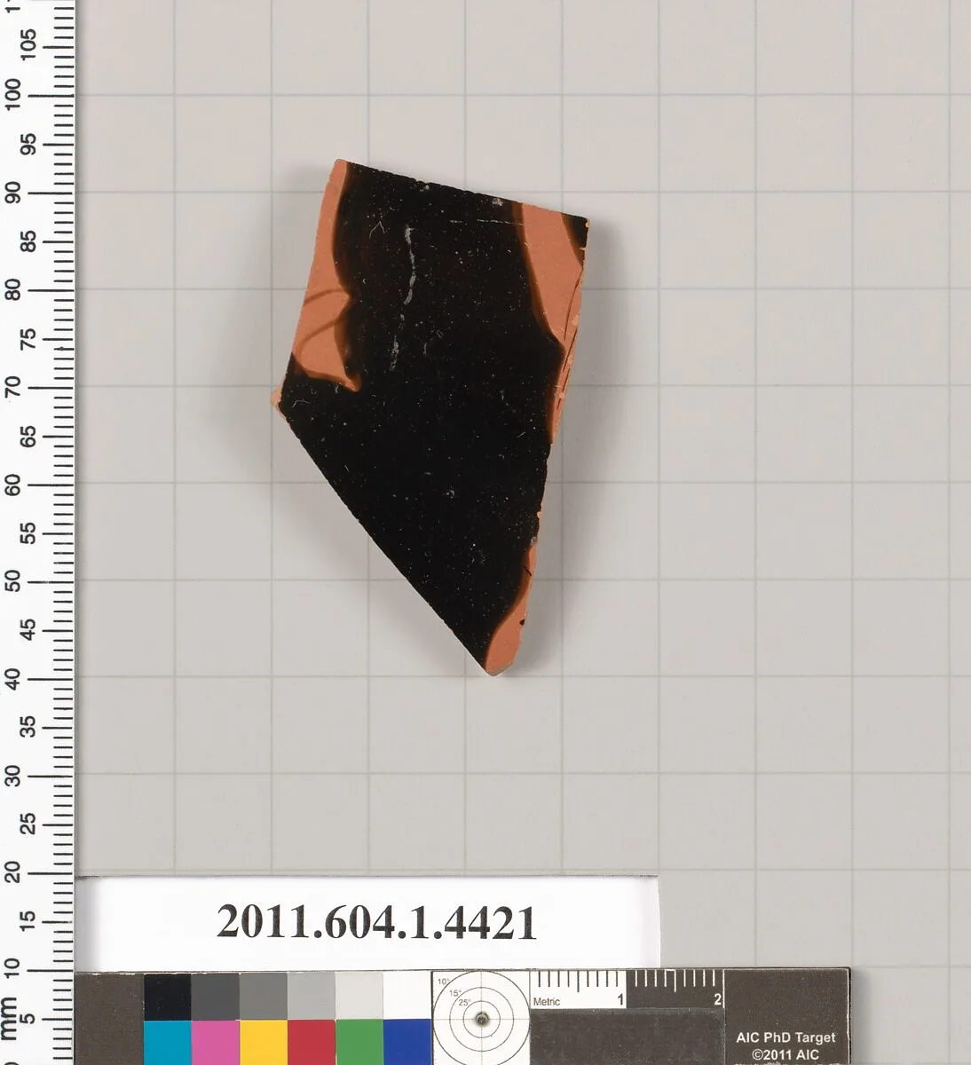 Terracotta fragment of a kylix (drinking cup) — Unknown