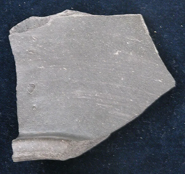 Fragment — Unknown
