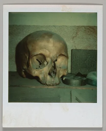 [Skull]