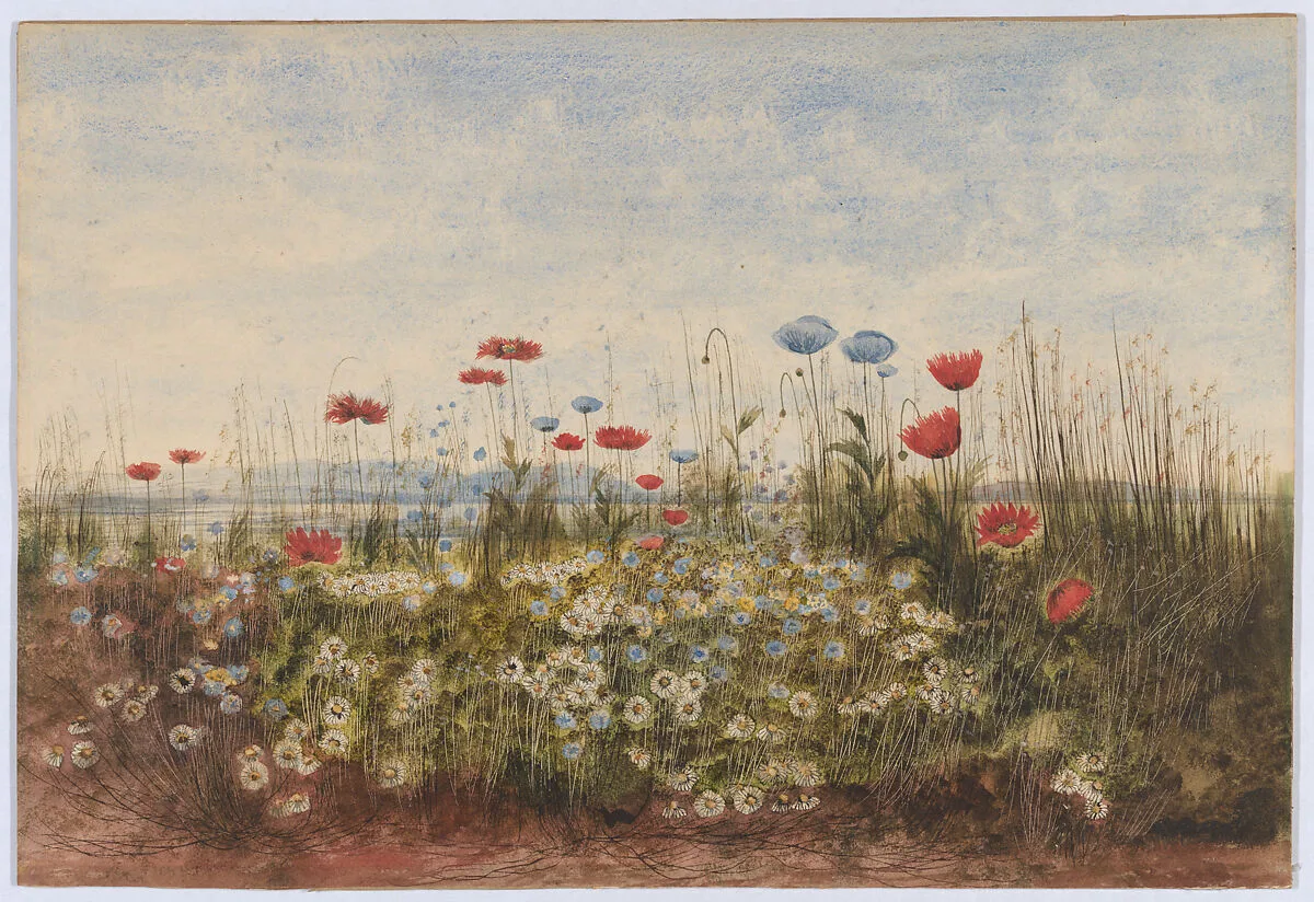Bank of Wildflowers — Andrew Nicholl