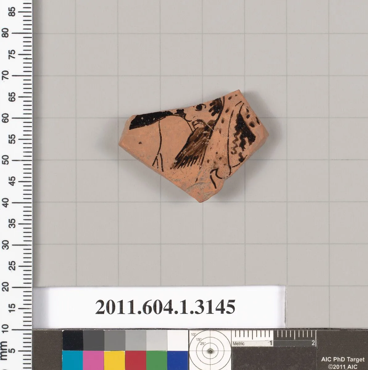 Terracotta fragment of a kylix (drinking cup) — Unknown