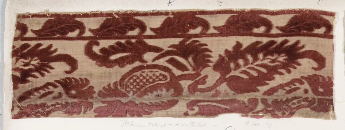 Fragment — Unknown