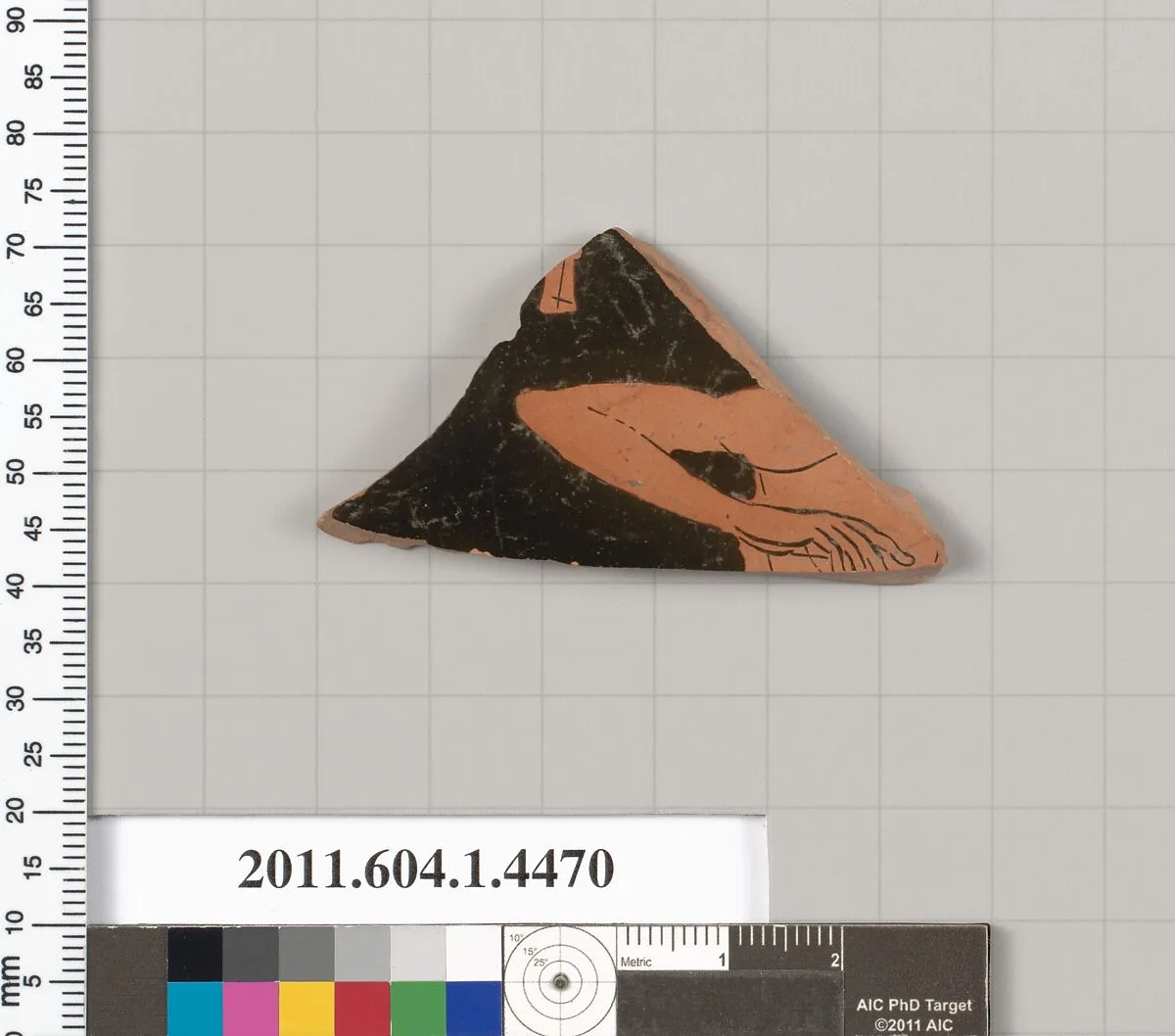 Terracotta fragment of a kylix (drinking cup) — Unknown