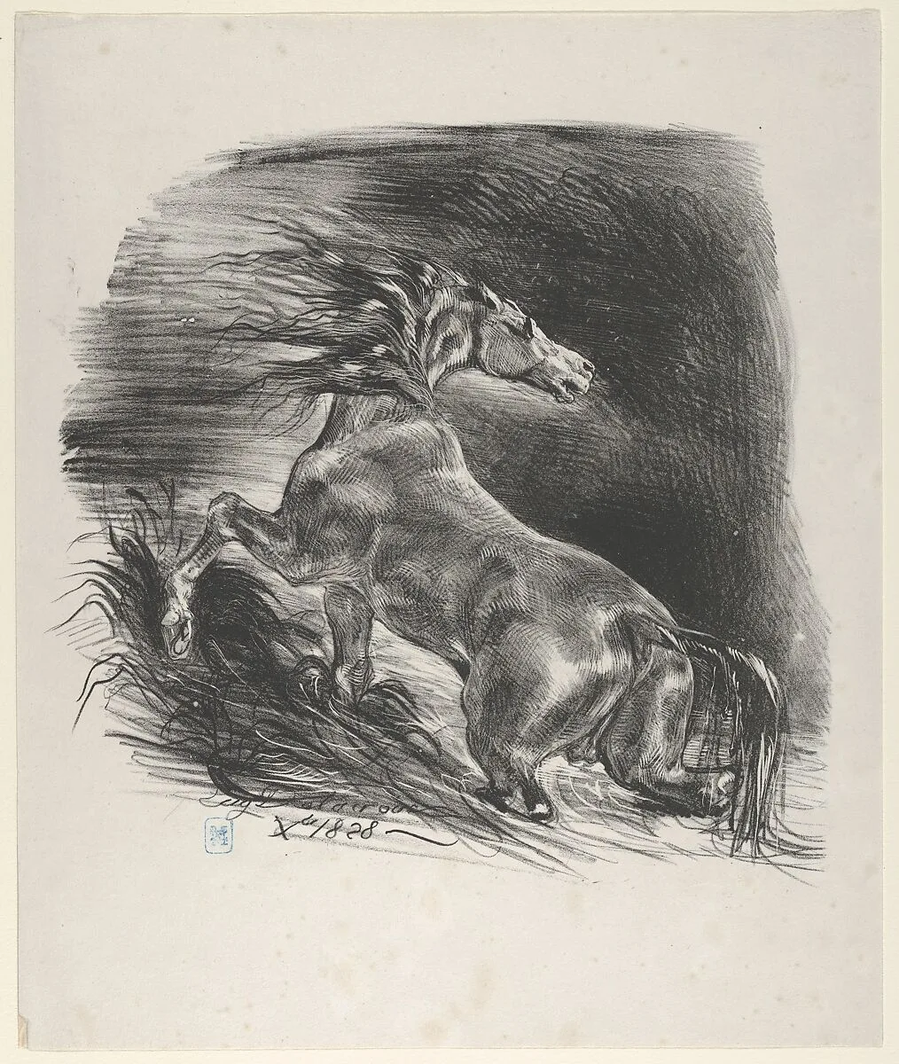 Wild Horse — Eugène Delacroix