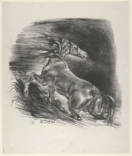 Wild Horse