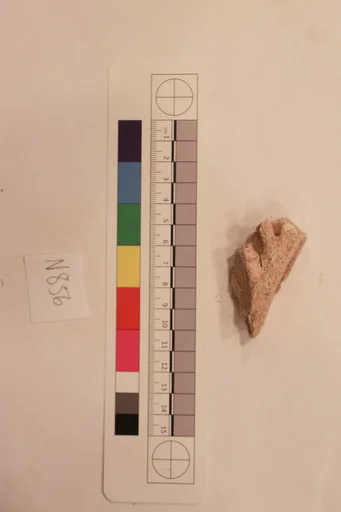 Stucco Fragment