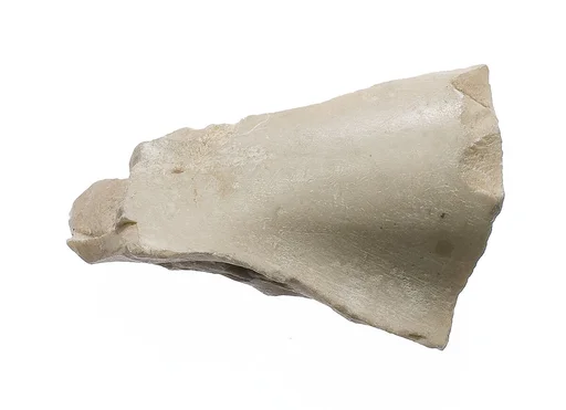 Body, miscellaneous part, Aten cartouche