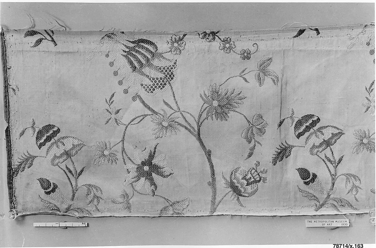 Fragment — Unknown