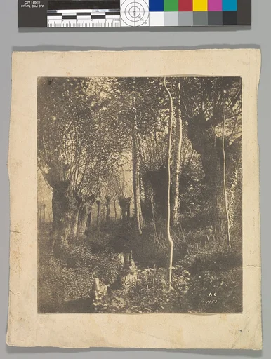 [Landscape, Arras]