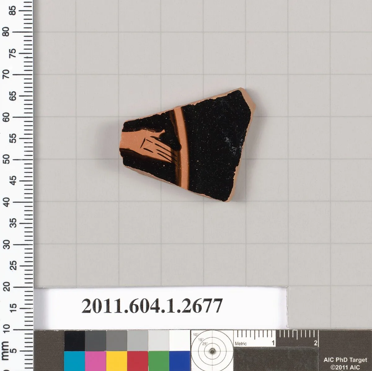 Terracotta fragment of a kylix (drinking cup) — Unknown