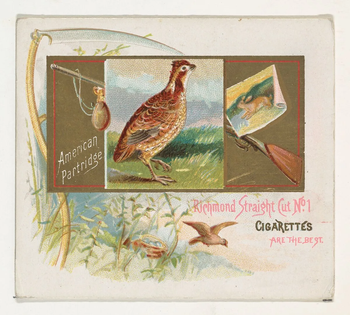 American Partridge, from the Game Birds series (N40) for Allen & Ginter Cigarettes — Allen & Ginter