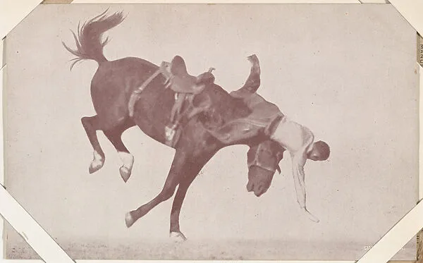 Cowboy falling forward off bucking bronco from Indians and Western Historical Scenes series (W417) — Unknown