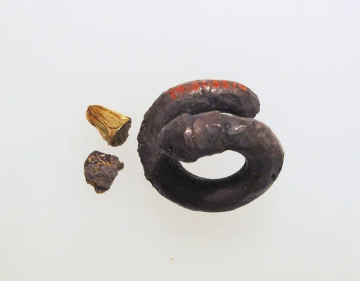 Earring, spiral with gold lion head