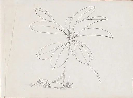 山水花卉寫生稿|Flower, Plant and Landscape Sketches from Life