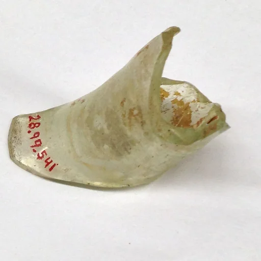 Fragment