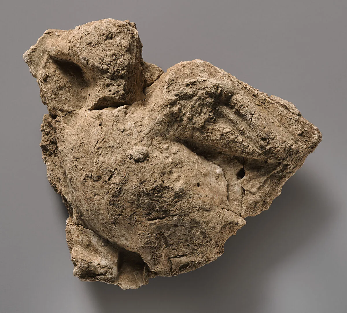 Fragment of a wall decoration with a flying bird — Unknown