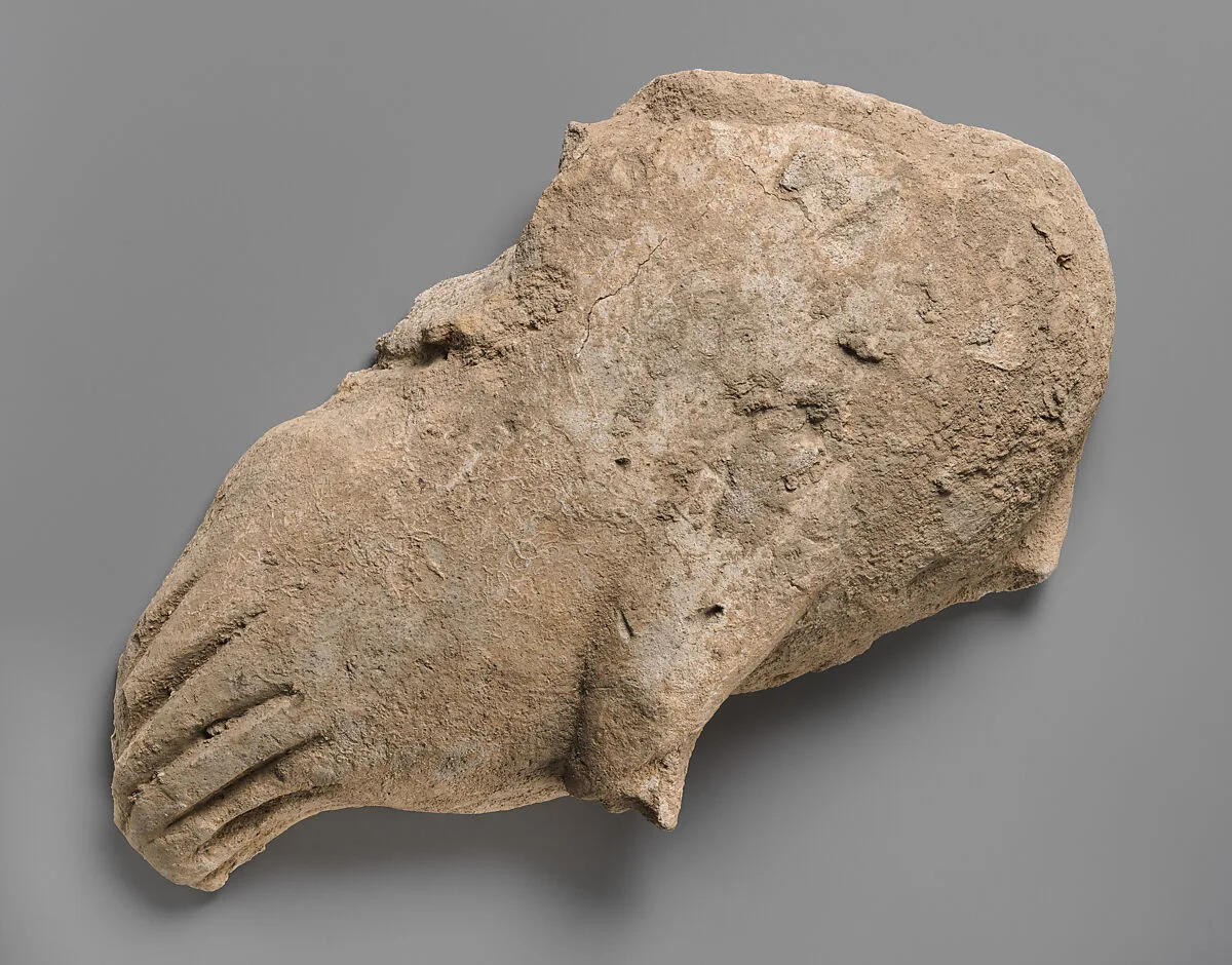 Fragment of a wall decoration with part of a bird — Unknown