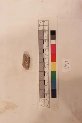 Stucco Fragment