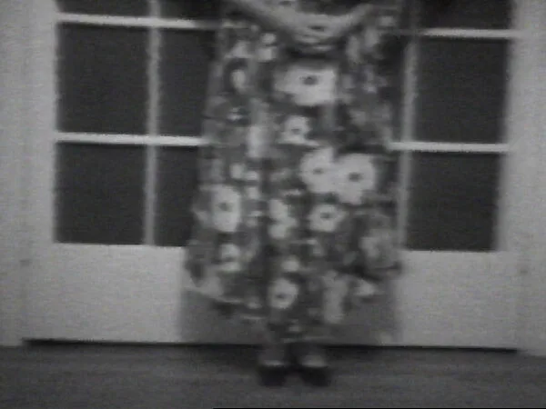 Dress Curtain — William Wegman