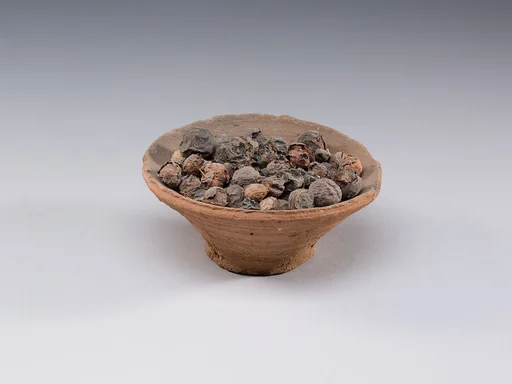 Bowl of Nebekh Fruit