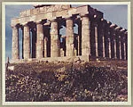 Temple F., Selinus, Sicily — Elma Loines
