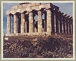 Temple F., Selinus, Sicily