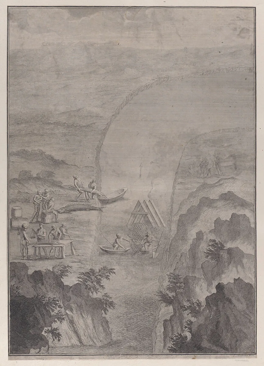 Men fishing with nets in a river, from 'Danubius Pannonico-Mysicus' (Volume 3) — Jacob Houbraken|Antonio Rossi