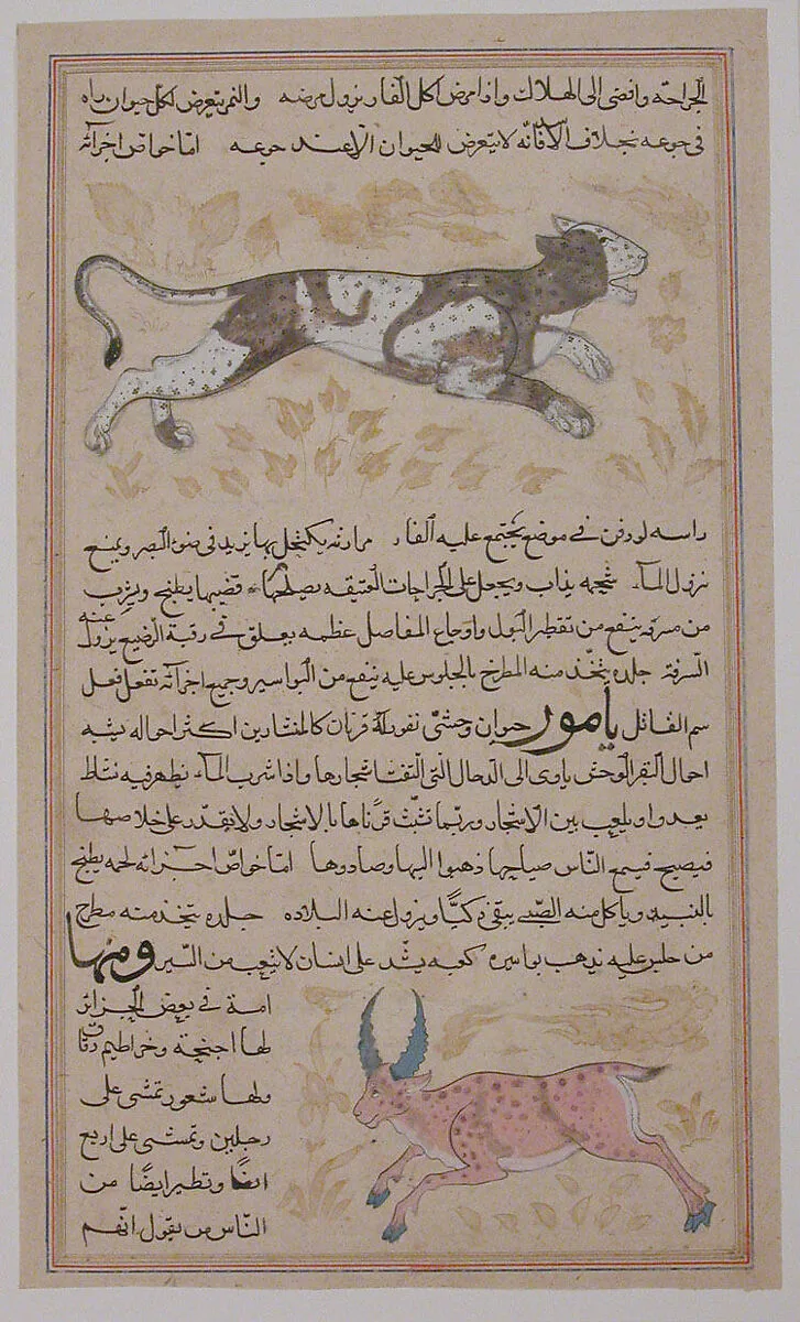 Folio from a `Aja'ib al-Makhluqat wa Ghara'ib al-Mawjudat (The Wonders of Creation and the Oddities of Existence) — Zakaria bin Muhammad bin Mahmud Abu Yahya Qazwini