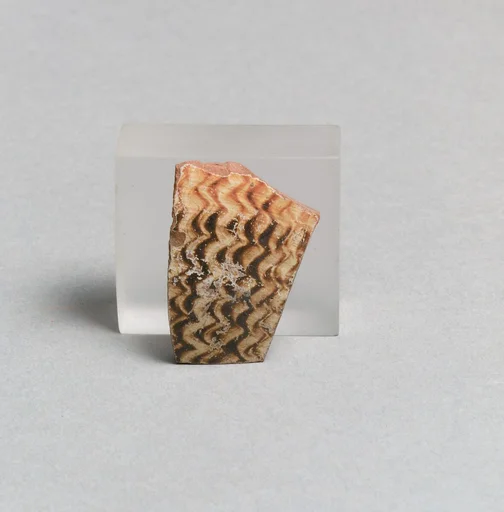 Vase fragment