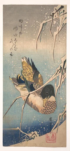 雪中芦に鴨|A Wild Duck near a Snow-laden Shore
