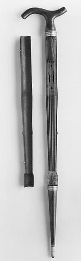 Walking-Stick Violin