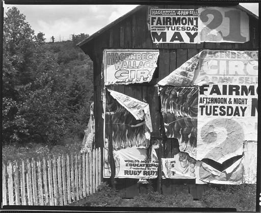 [Barn with Torn Advertisements for the Hagenbeck & Wallace Circus, Monongalia County, West Virginia]