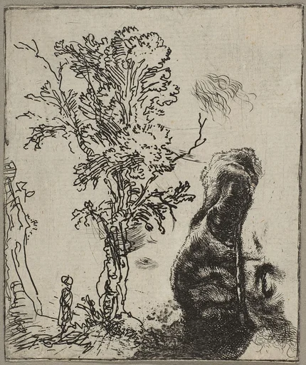 Sheet with Two Studies: A Tree and the Upper Part of a Head of Rembrandt Wearing a Velvet Cap