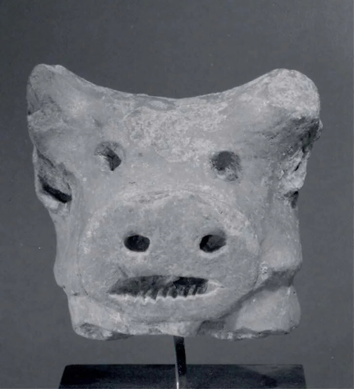 Head of bull — Unknown