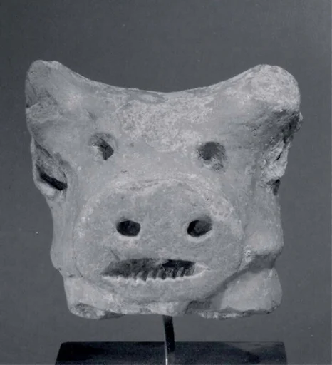 Head of bull