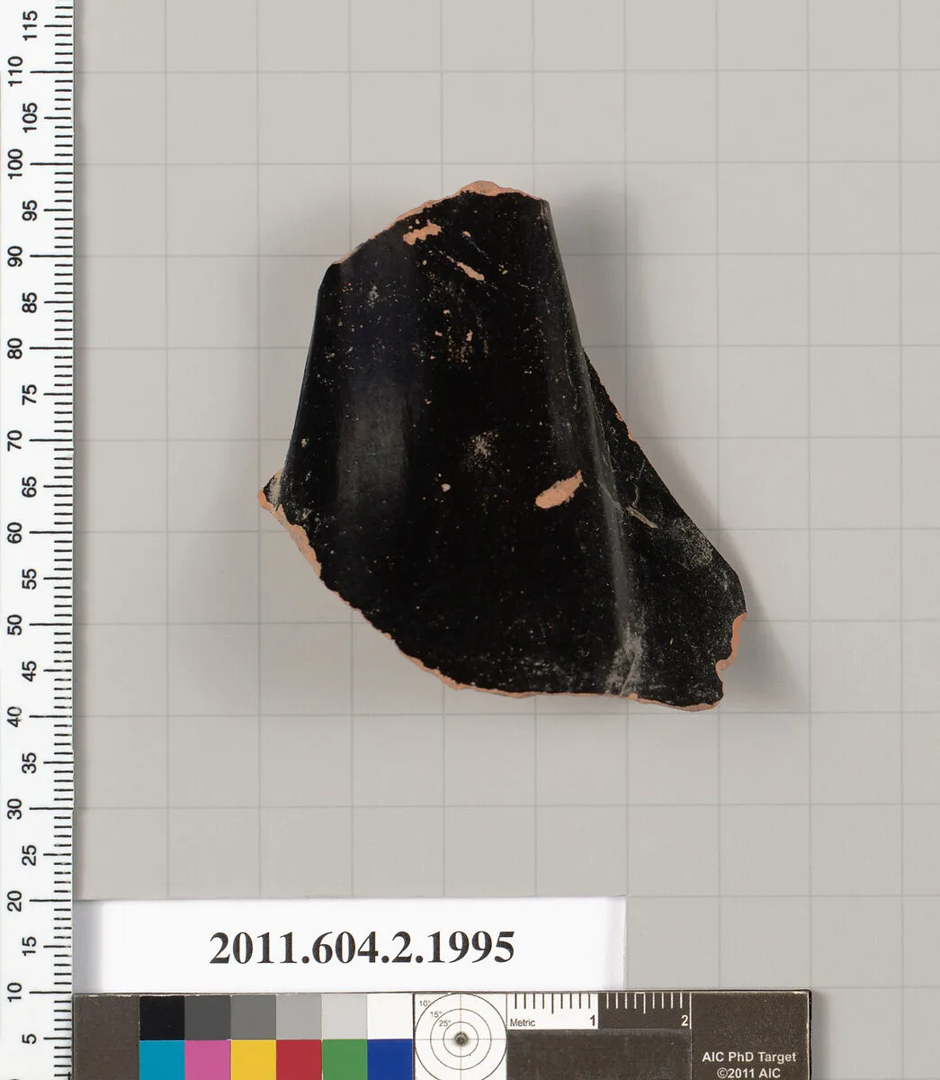 Terracotta fragment of a pelike (jar)? — Unknown
