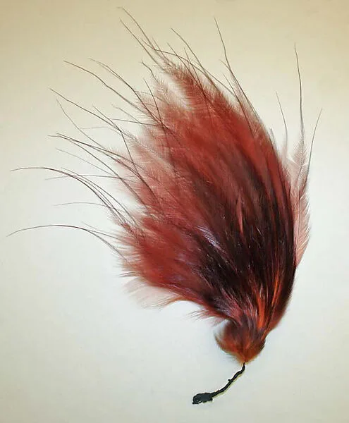 Aigrette — Unknown