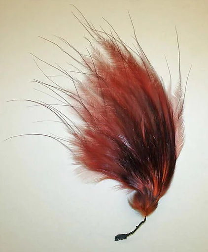 Aigrette