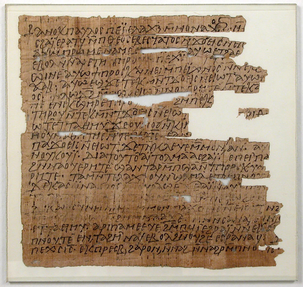Papyrus — Unknown