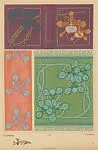 Orchidées (Orchids), pl. 30 — Emile-Allain Séguy|A. Calavas