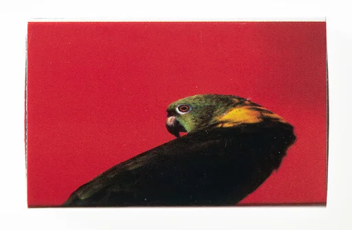 [Matchbox for "Fitting" at Metro Pictures, Metro Pictures, New York City]