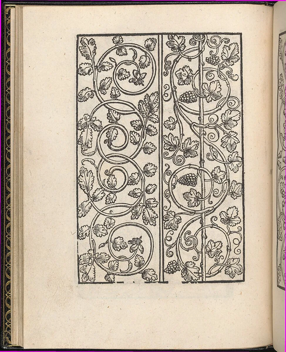 Page from Ein new kunstlich Modelbuch...(Page 15v) — Peter Quentel