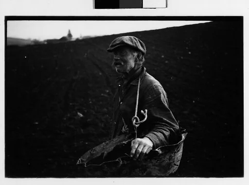 [Two 35mm Film Frames: Farmer in Field, Copake, New York]