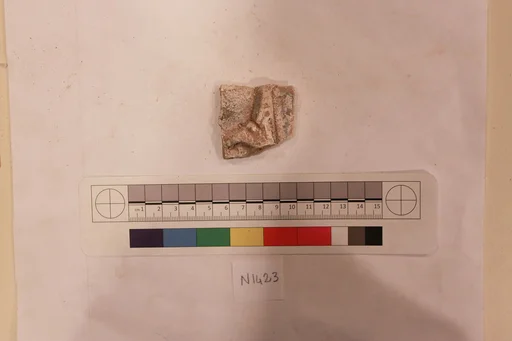 Stucco Fragment